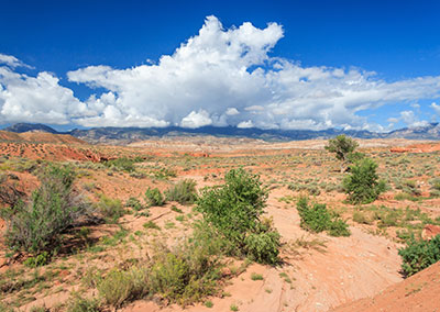 Case Study: Central Utah Water Conservancy District